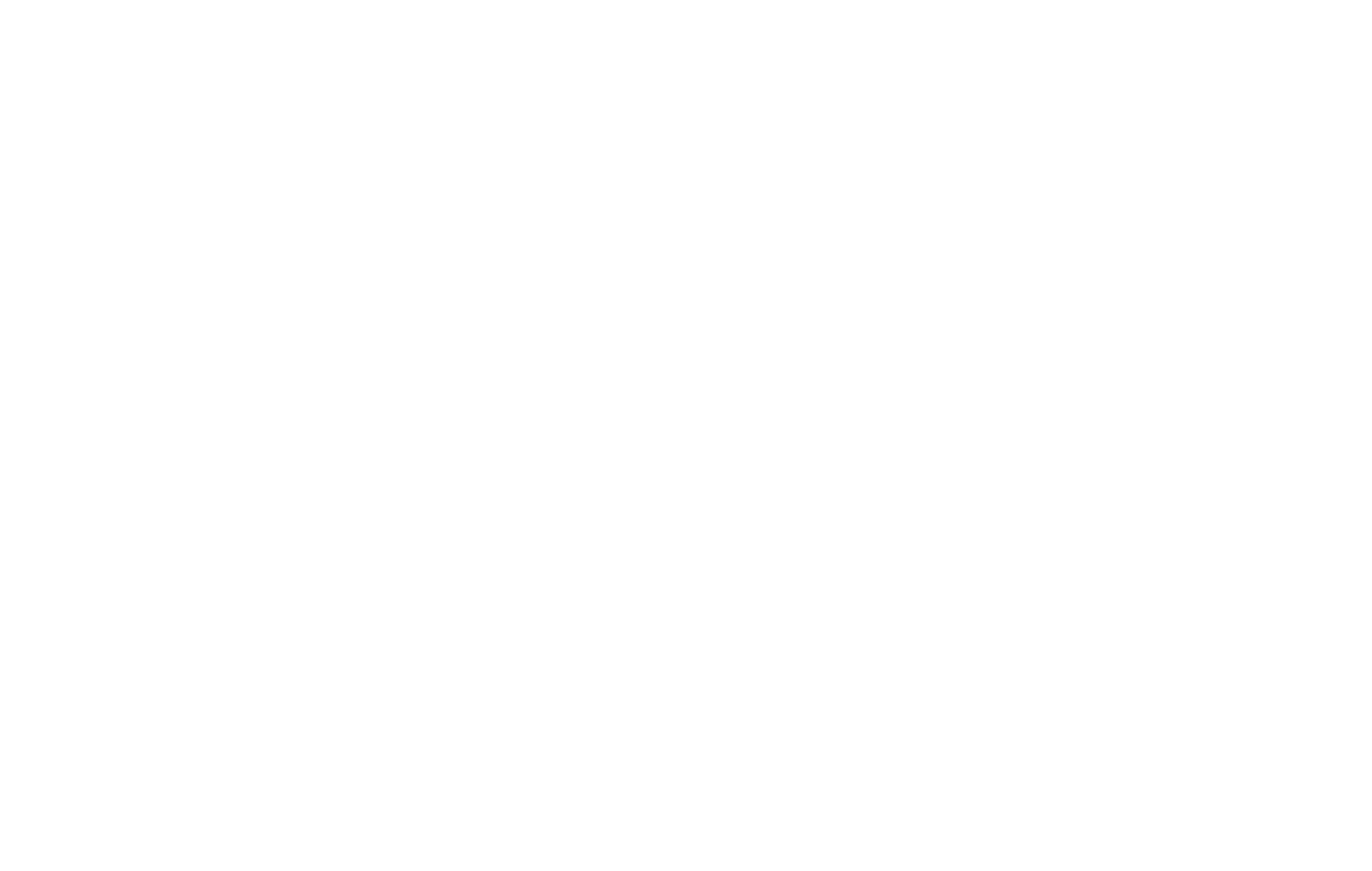 PVD Fanzone Logo